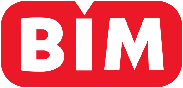 What is BIM